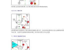  为什么中锋需要特别的战术训练：深入探讨与最佳策略